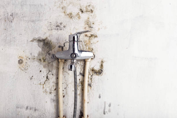 Best Mold Testing  in Judson, SC